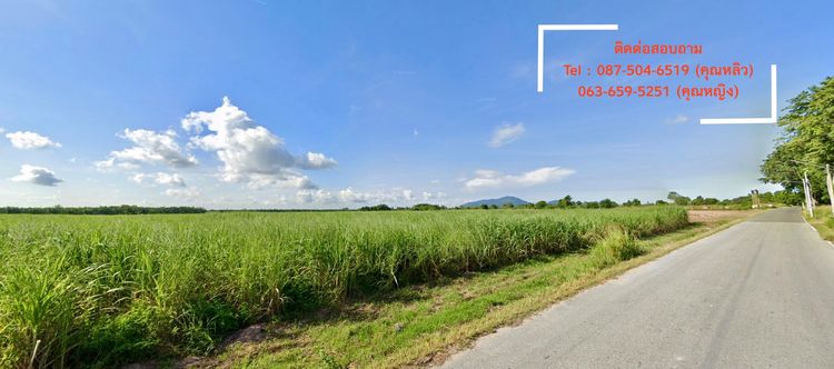 ด่วน เจ้าของขายที่ดิน 106 ไร่ หนองชาก-บ้านบึง ใกล้ถนน 331 ชลบุรี ราคาดีที่สุดในย่านนี้ รูปที่ 3
