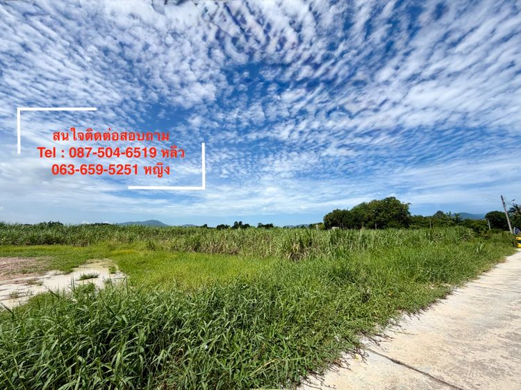 ด่วน เจ้าของขายที่ดิน 106 ไร่ หนองชาก-บ้านบึง ใกล้ถนน 331 ชลบุรี ราคาดีที่สุดในย่านนี้ รูปที่ 2