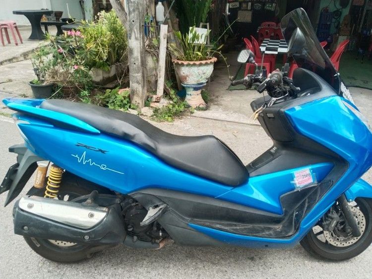 Forza300. G1 รูปที่ 2