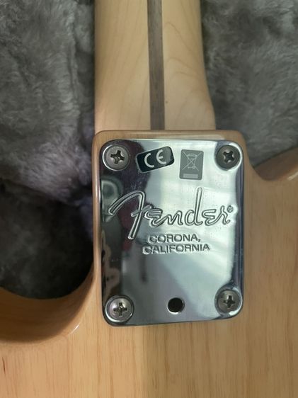 Fender American Professional Telecaster (USA) รูปที่ 3