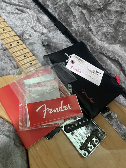 Fender American Professional Telecaster (USA) รูปที่ 7