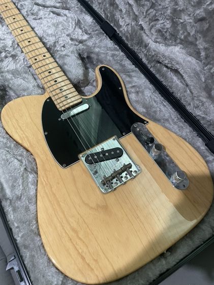 Fender American Professional Telecaster (USA)