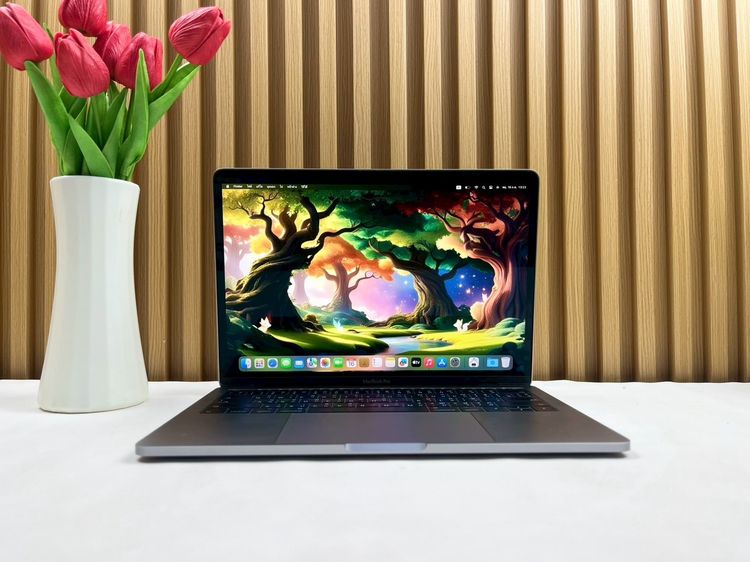 Apple Macbook Pro 13 Inch แมค โอเอส 8 กิกะไบต์ อื่นๆ ไม่ใช่ MacBook Pro 13-inch 2017 i5 Two Thunderbolt 3ports Ram8GB SSD256GB SpaceGray
