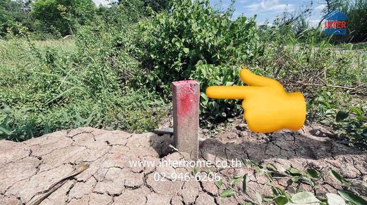 ที่ดินเปล่า 100 ตร.ว. ที่ดิน ระหว่างซอยหมู่บ้านเทพธารินทร์ คลอง11 กับซอยลำลูกกา231 ถนนรังสิต-นครนายก ถนนลำลูกกา ธัญบุรี ปทุมธานี รูปที่ 4