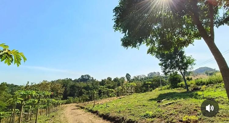 ขายบ้านพร้อมที่ดินเนินสวย 7 ไร่ วิวภูเขา อำเภอเมือง จังหวัดเพชรบูรณ์ รูปที่ 3