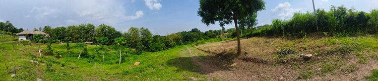 ขายบ้านพร้อมที่ดินเนินสวย 7 ไร่ วิวภูเขา อำเภอเมือง จังหวัดเพชรบูรณ์ รูปที่ 4