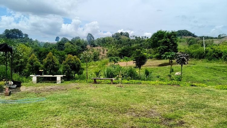 ขายบ้านพร้อมที่ดินเนินสวย 7 ไร่ วิวภูเขา อำเภอเมือง จังหวัดเพชรบูรณ์ รูปที่ 2