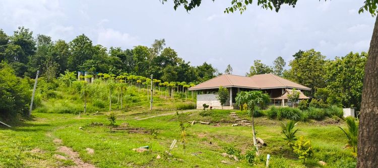 ขายบ้านพร้อมที่ดินเนินสวย 7 ไร่ วิวภูเขา อำเภอเมือง จังหวัดเพชรบูรณ์