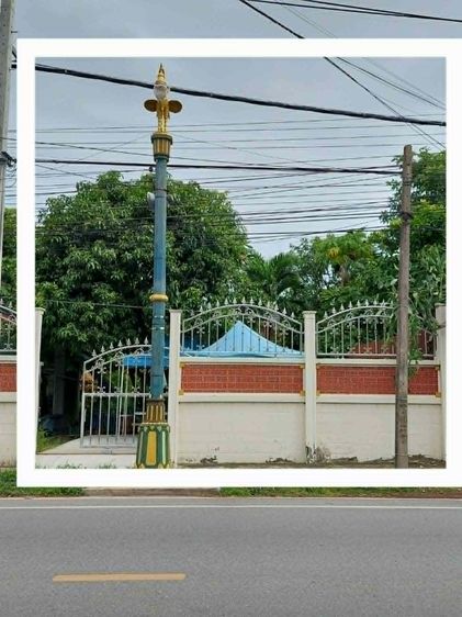 ที่ดินเปล่า