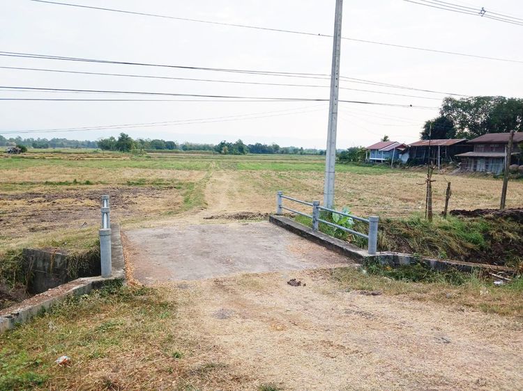 ขายที่ดินเปล่า 8-3-48 ไร่ ต.ท่าพล อ.เมือง จ.เพชรบูรณ์ ทำเลสวย ติดถนนสระบุรี-หล่มสัก