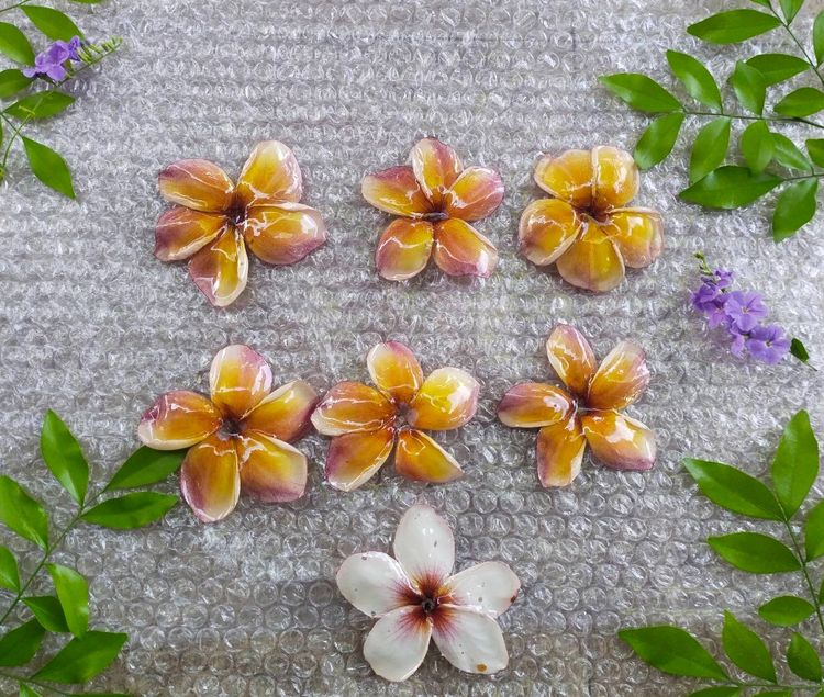 🌸 สร้อยคอจี้ดอกลีลาวดีแท้เคลือบเรซิ่น ราคาส่ง 🌸 รูปที่ 12