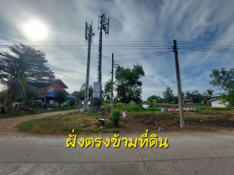 ไม่ใช่ ขายที่ดินถมแล้ว รูปที่ 3