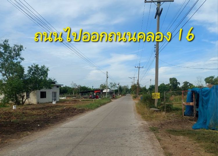 ไม่ใช่ ขายที่ดินถมแล้ว รูปที่ 4