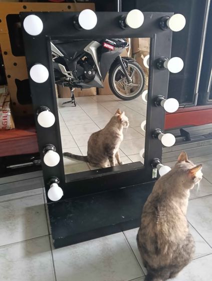 กระจกไฟปิงปอง (หรือ Hollywood Mirror)  รูปที่ 8