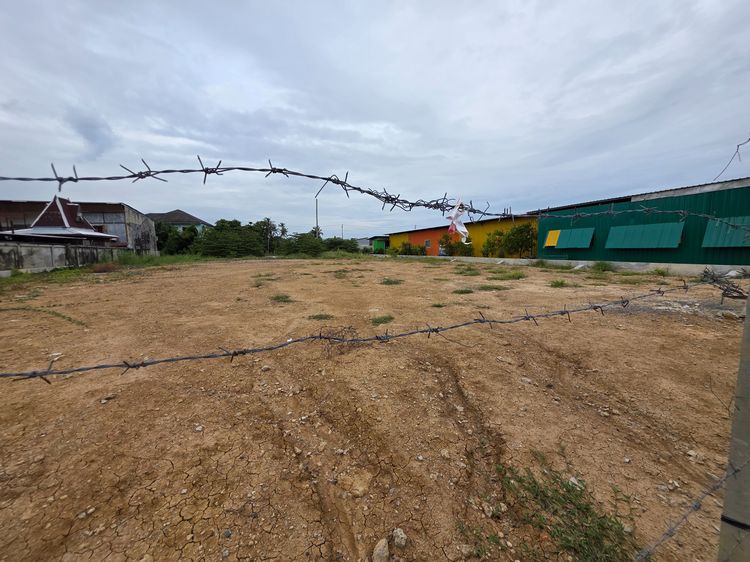 ขายที่ดิน1-0-29ไร่T.061-4565146 รูปที่ 4