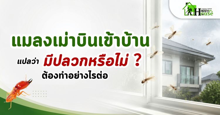 บริการกำจัดปลวก