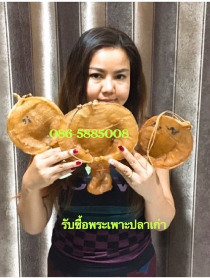 อื่นๆ รับซื้อ-เช่าพระเครื่อง-ของเก่าสะสมโบราณ