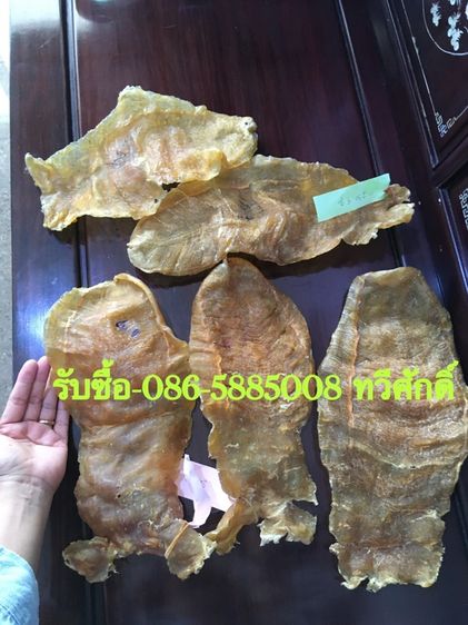 รับซื้อ-เช่าพระเครื่อง-ของเก่าสะสมโบราณ รูปที่ 16