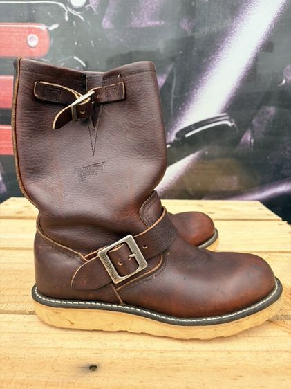Redwing รูปที่ 4