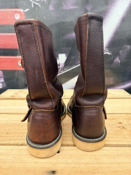 Redwing รูปที่ 3