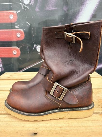 Redwing รูปที่ 2