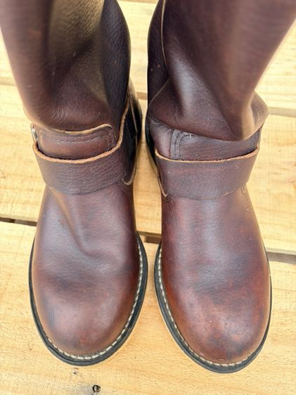 Redwing รูปที่ 5
