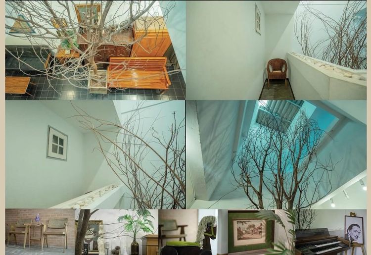 เช้ง Studio ย่านพัฒนาการ 50 เฟอร์นิเจอร์นำเข้าจากทั่วโลก ในstyle Midcentury และ Europe รูปที่ 3