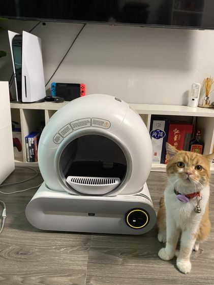 ห้องน้ำแมว อัตโนมัติ สภาพดี