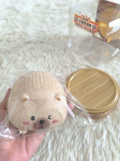 สกุชชี่ molynx รูปที่ 4