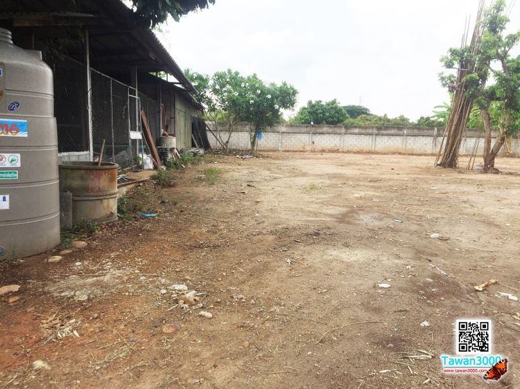 ขายที่ดิน1ไร่29ตรว.พร้อมบ้านพัก น้ำ-ไฟพร้อม พร้อมโอน (ตรว.ละ 12,000) รูปที่ 4