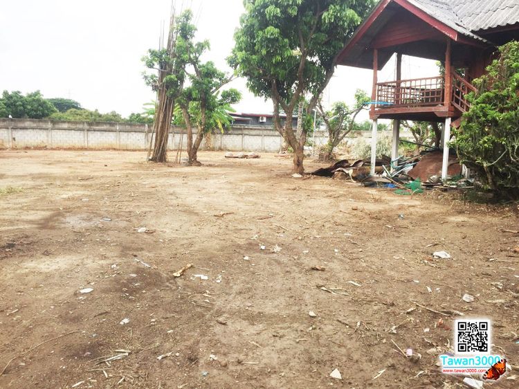 ขายที่ดิน1ไร่29ตรว.พร้อมบ้านพัก น้ำ-ไฟพร้อม พร้อมโอน (ตรว.ละ 12,000) รูปที่ 2