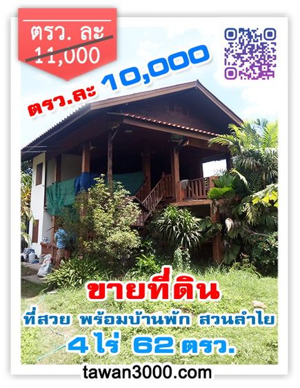 (ตรว.ละ10,000) ที่ดิน 4ไร่ 62ตรว. มีบ้านพัก สวนลำไย ติดกุลพันวิล9 ใกล้กาดฝรั่ง