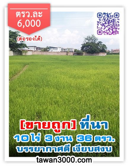ขายถูกที่นา 10ไร่ 3งาน 36ตรว. บรรยากาศดี เงียบสงบ ติดกุลพันธ์วิลล์9-กาดฝรั่ง (ตรว.ละ 6,000)