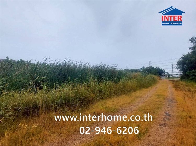 ที่ดินเปล่า 197 ตร.ว. ที่ดิน ใกล้มหาวิทยาลัยเทคโนโลยีราชมงคลรัตนโกสินทร์ ถนนพุทธมณฑลสาย5 ถนนบรมราชชนนี สามพราน นครปฐม