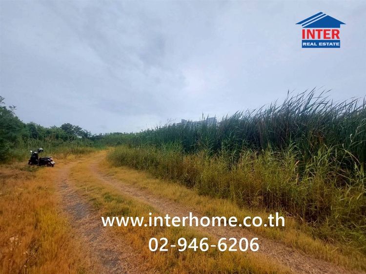 ที่ดินเปล่า 197 ตร.ว. ที่ดิน ใกล้มหาวิทยาลัยเทคโนโลยีราชมงคลรัตนโกสินทร์ ถนนพุทธมณฑลสาย5 ถนนบรมราชชนนี สามพราน นครปฐม รูปที่ 3