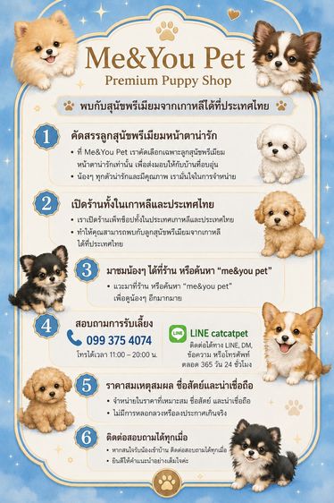 สุนัขพันธุ์ที่ฮิตมากในเกาหลี รูปที่ 7