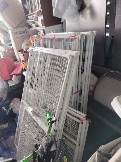 กรง คอกและประตู ปิดฟาร์ม! ขายกรงแมวขนาดใหญ่ 142×54×130 ซม. สภาพ 90% ใส่แมวได้ 5–6 ตัว เพียง 800 บาท/กรง มี 4 กรง