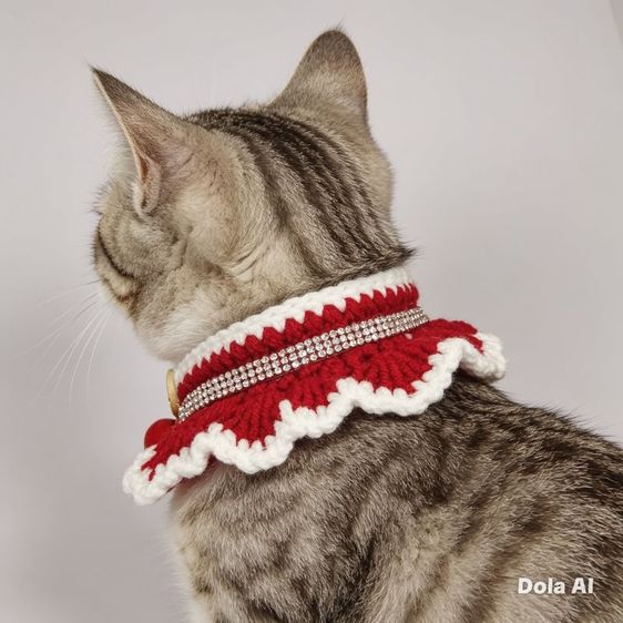 ปลอกคอไหมพรมล้อมเพชร ขายยกโหลราคาส่ง รูปที่ 2