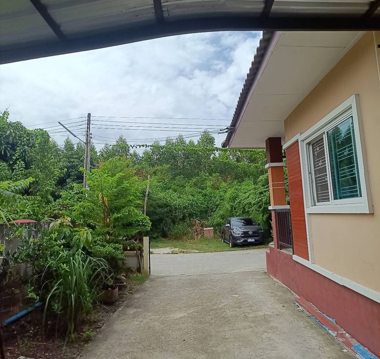 อื่นๆ มีบางส่วน 2021 บ้านเดี่ยว