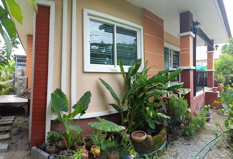 อื่นๆ มีบางส่วน 2019 บ้านเดี่ยว รูปที่ 4