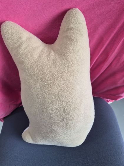 ขายหมอนไดคัทน้องแมว-น้องหมาสุดน่ารัก! มือสองสภาพดีมาก ลายชัดเจน สีสวย วางตรงไหนก็น่ารัก เหมาะสำหรับทาสแมวหรือคนชอบแต่งห้อง รูปที่ 6