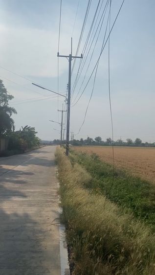 ขายที่ดินปทุมธานี อำเภอเมืองปทุมธานี รูปที่ 2