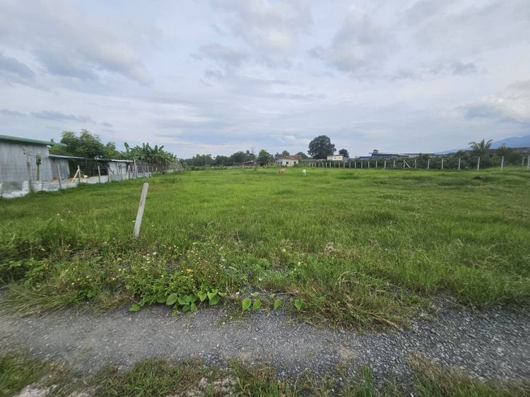 ขายที่ดินราคาต่ำกว่าตลาด เชียงใหม่ใกล้ห้าง รูปที่ 2