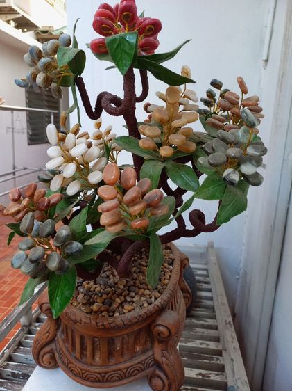ต้นไม้หินนำโชค รูปที่ 8