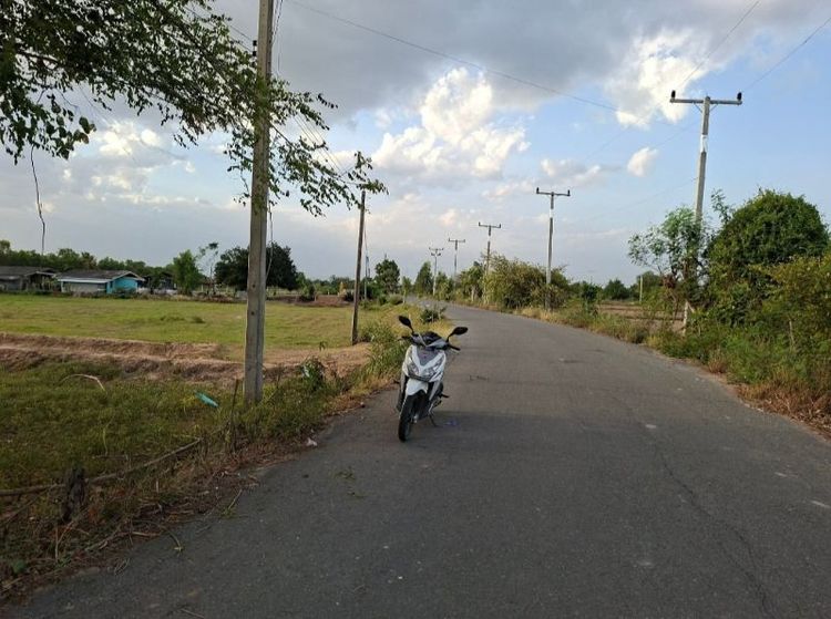 #ที่ดิน2ไร่3งานสุพรรณบุรี รูปที่ 4