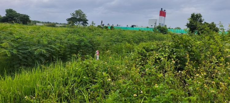 ขายที่ดินเปล่าติดถนนใกล้ร. รนานาชาติ รูปที่ 4