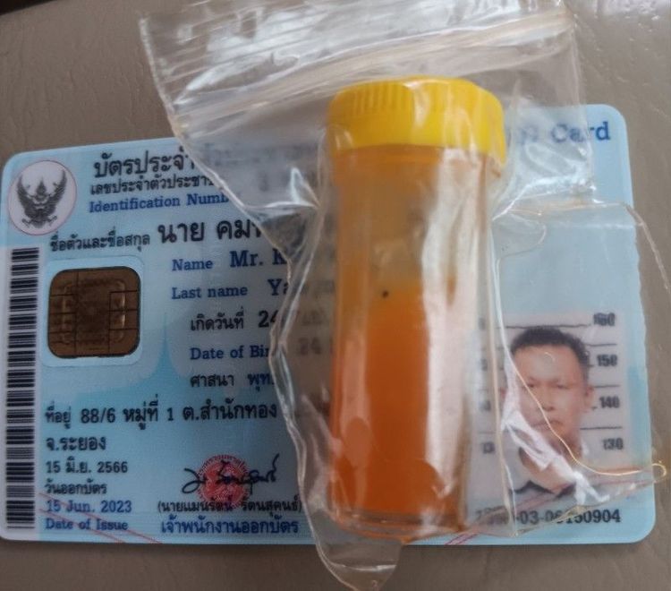 น้ำมันกั่วเผาะช้างตกมัน