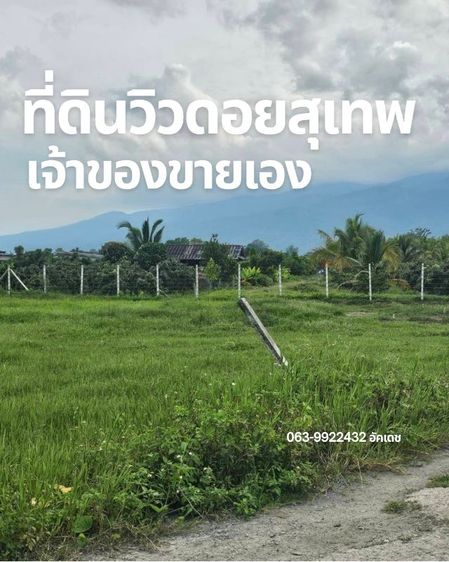 ใช่ ที่ดินราคาต่ำกว่าตลาด จ.เชียงใหม่ 1ไร่กว่า เจ้าของขายเอง รูปที่ 3