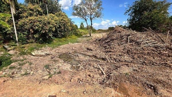 ขายที่ดินสวย 1 ไร่ ติดคลองเปรมประชากร เชียงรากน้อย สามโคก ปทุมธานี ราคาขาย 3490000 บาท  รูปที่ 3