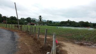 ขายที่ดิน 3 ไร่ 2 งาน จ.กาญจนบุรี ทำเลสวยใกล้รีสอร์ท แหล่งท่องเที่ยว